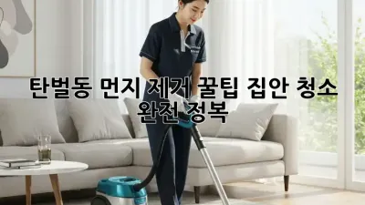 탄벌동 먼지 제거 꿀팁🍯✨: 집안 청소 완전 정복!